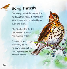 My First Book of Garden Birds