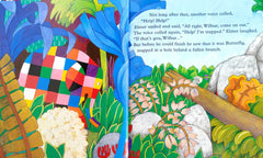 Elmer Picture Book Set, Age 3+ (2 Books)