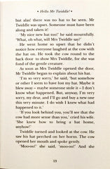 Hello Mr Twiddle! (Enid Blyton)