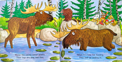 Amazing Animals Picture Book Set, Age 3+ (3 Books)