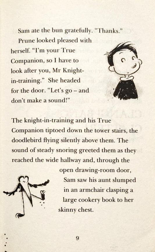 Spots Stripes and Zigzags (Knights in Training)