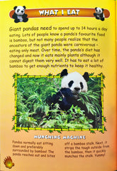 My Animal Kingdom Panda