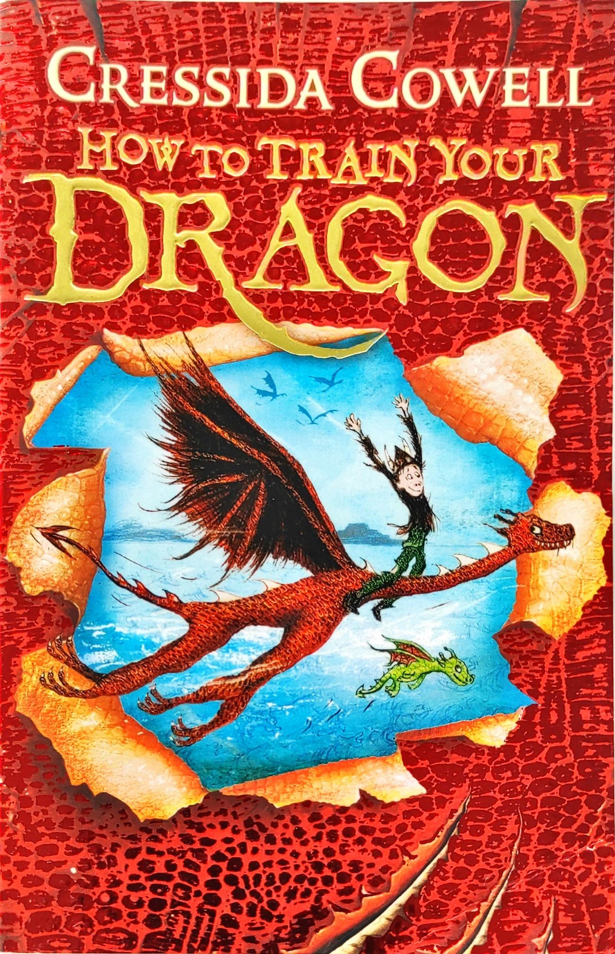 How to Train your Dragon (Red)