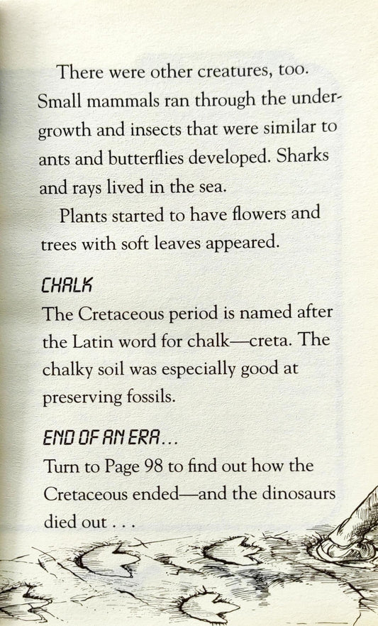 Dinosaur Cove
