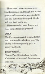 Dinosaur Cove