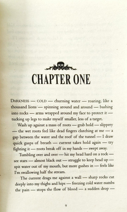 The Vampire Prince (The Saga of Darren Shan)
