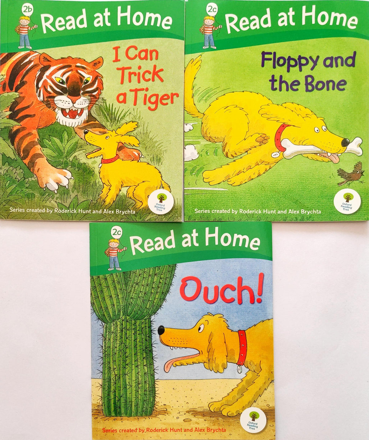 Read at home Level 2 Set 2 (3 Books)