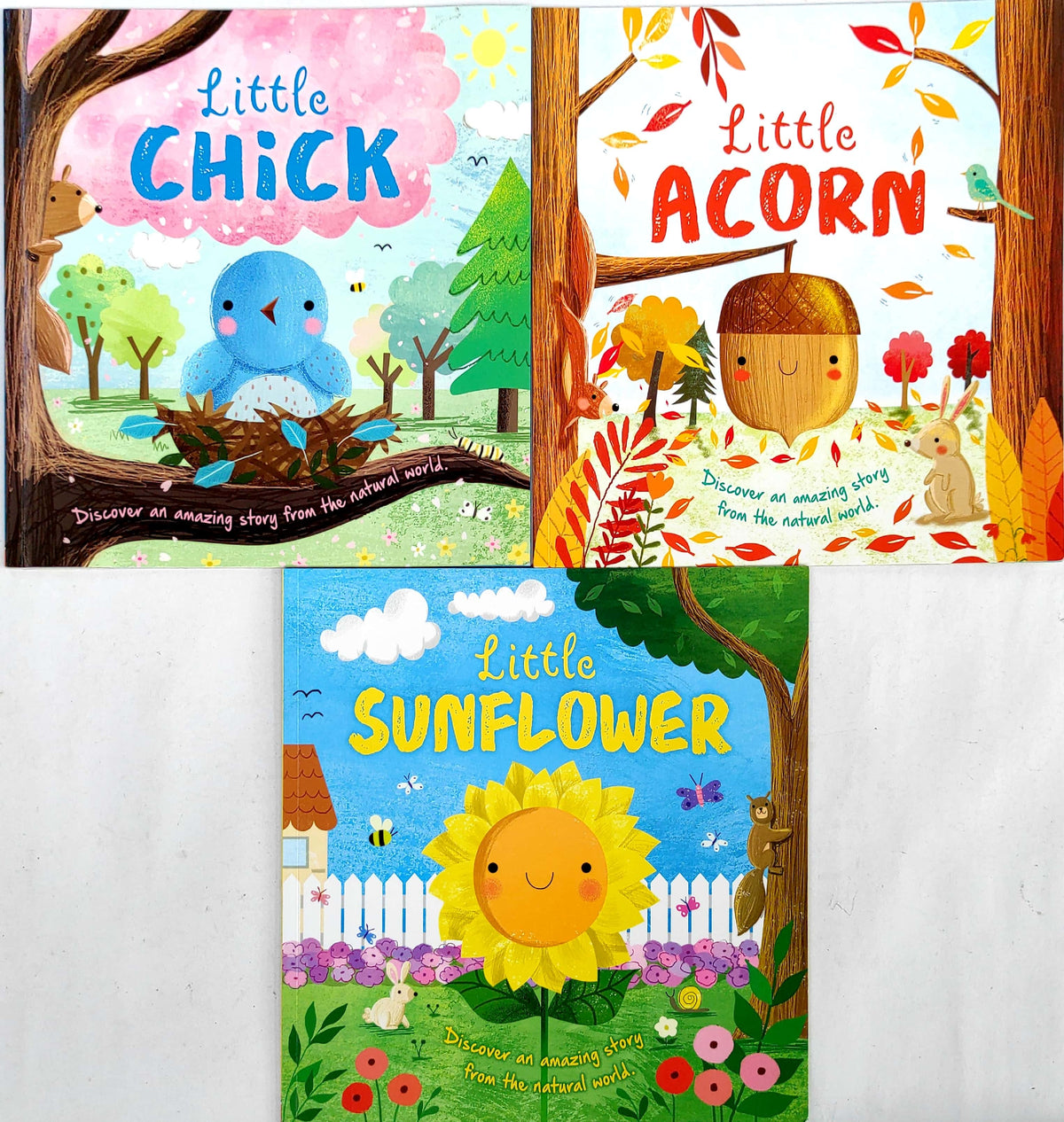 Little Nature Story Picture Book Set, Age 3+ (3 Books)
