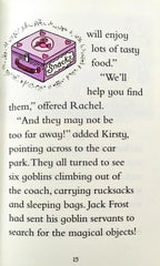 Selena the Sleepover Fairy (Rainbow Magic)