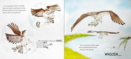 Ollie and the Otter A Scottish Osprey Story