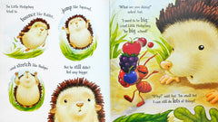 Little Hedgehog's Big Day