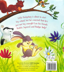 Little Hedgehog's Big Day