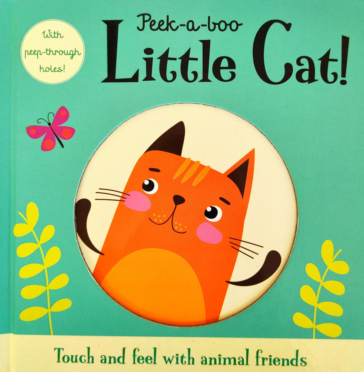 Peek a boo Little Cat