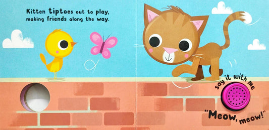 Meow Says Kittens (Sound Book)