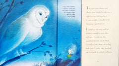 White Owl, Barn Owl