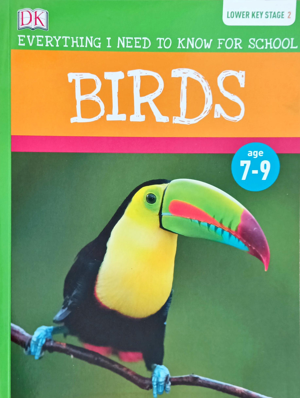 Birds