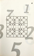Junior Sudoko Challenge 2