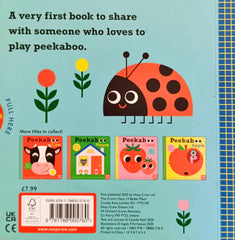 Peekaboo Bear