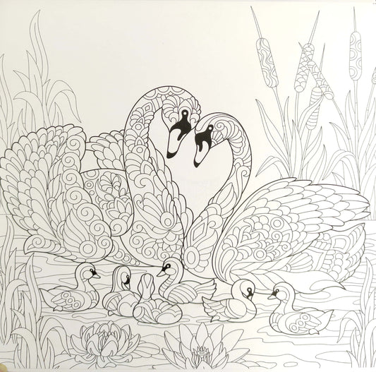 Nature Colouring book for Adults