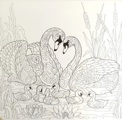 Nature Colouring book for Adults