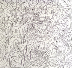 Nature Colouring book for Adults