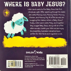 Where is Baby Jesus? (Lift the Flap)