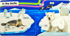 Baby Animals (Touch and Feel)
