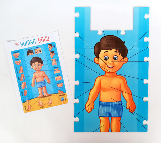 The Human Body Puzzle