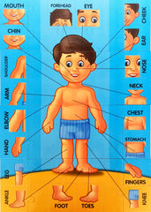 The Human Body Puzzle