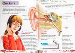 Ultimate Human Body Encyclopedia (Learn About Human Body)