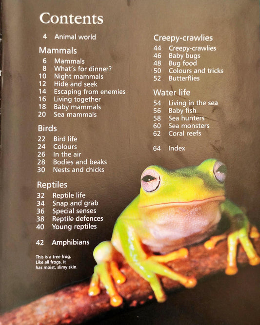 The Usborne Little Encylopedia of Animals