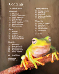 The Usborne Little Encylopedia of Animals