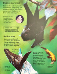 The Usborne Little Encylopedia of Animals