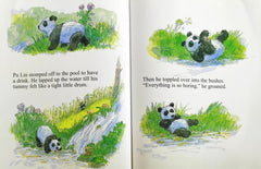 Baby Panda
