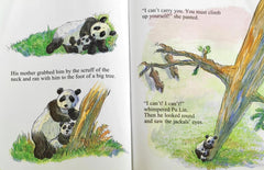Baby Panda