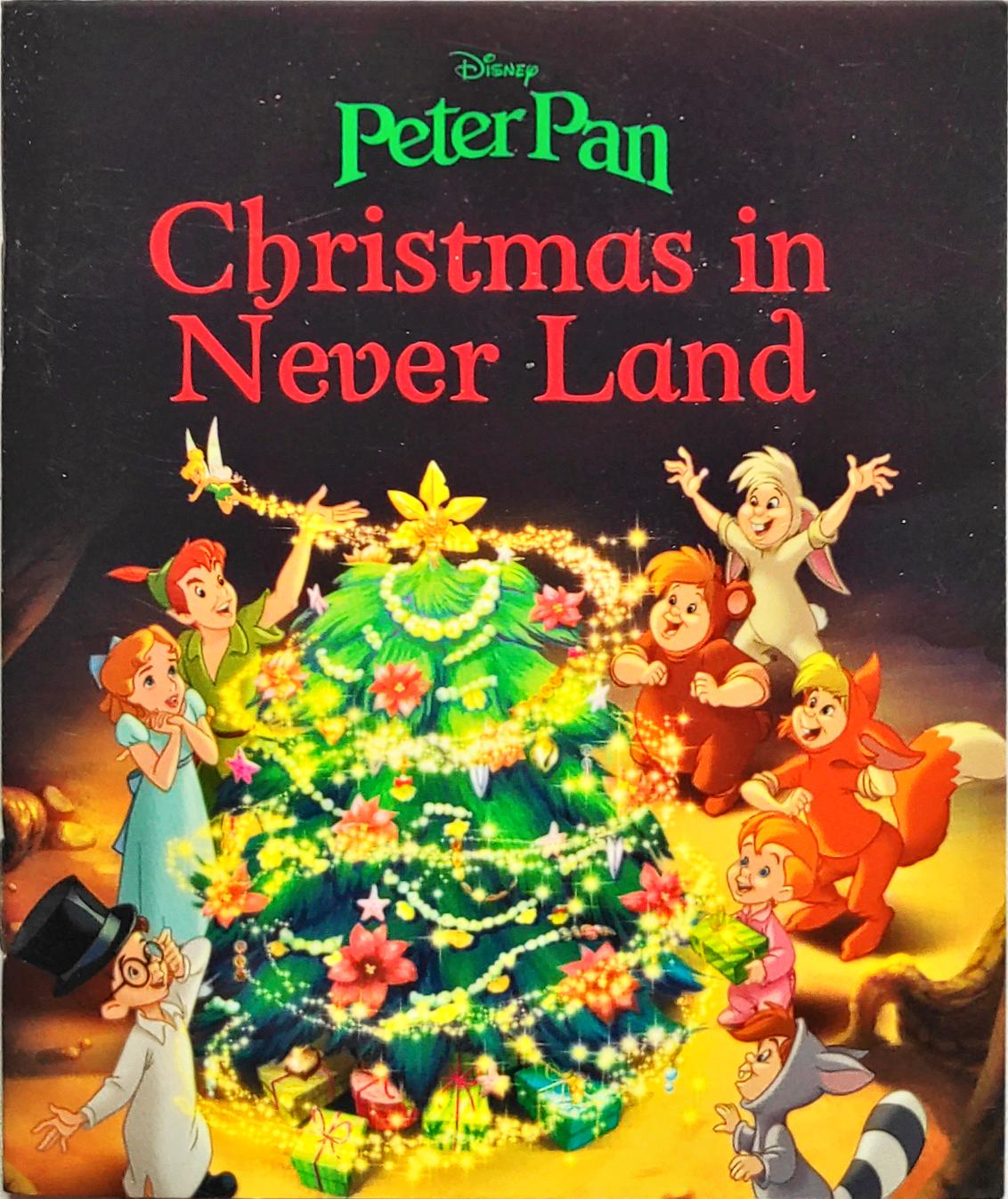 Disney Peter Pan Christmas in Never Land (Pocket Friendly Book)