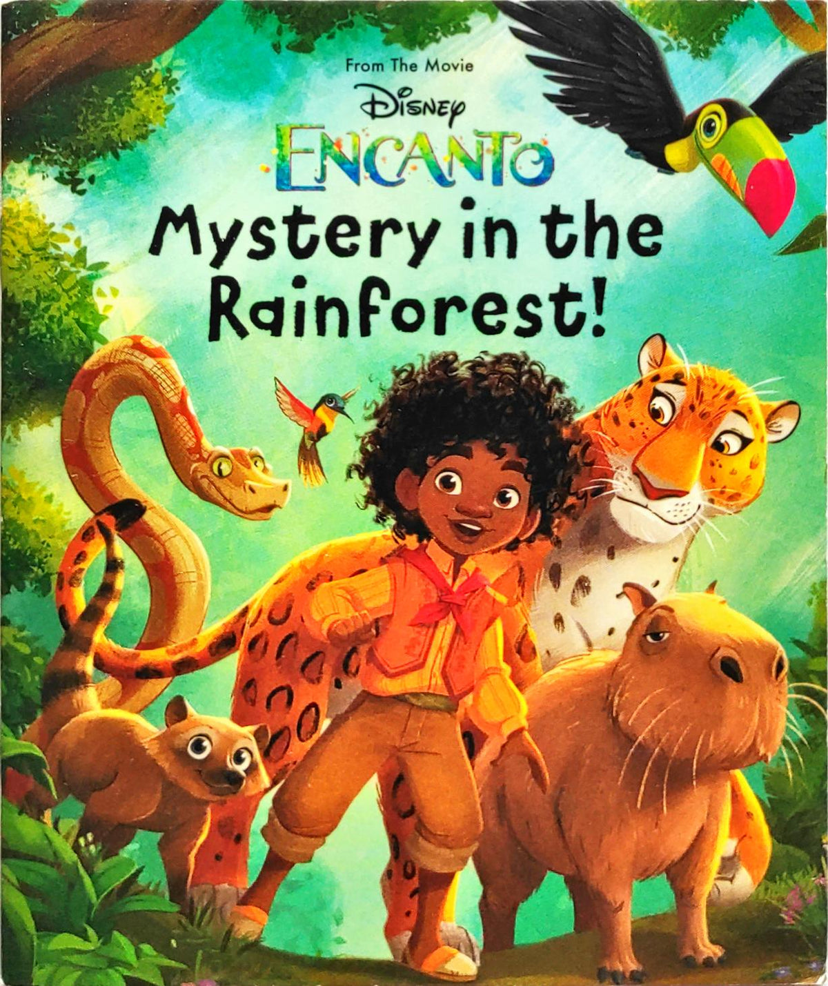 Disney Encanto Mystery in the Rainforest! (Pocket Friendly Book)