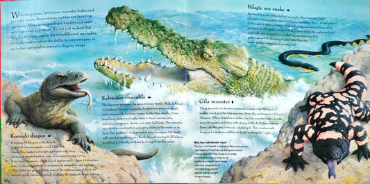 Predators (Changing Picture/Popup Book)