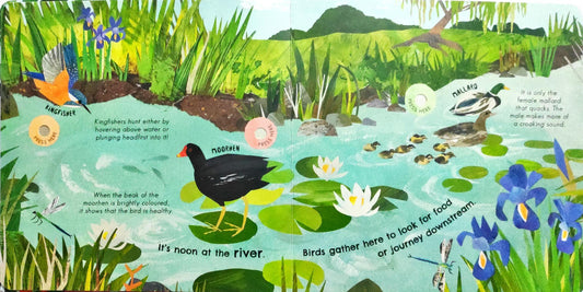 Songs of the Birds (Sound Book)