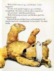 Michael Bond's Book of Bears