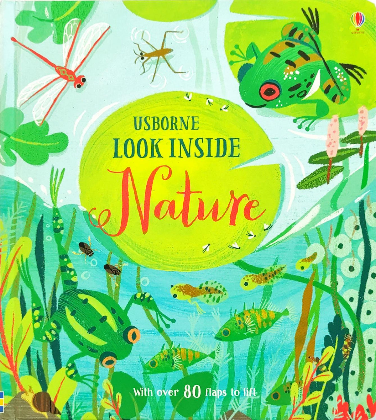 Usborne Look inside Nature (Flap Book)