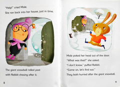 The Giant Snowball Mystery (Reading Champion)