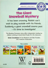 The Giant Snowball Mystery (Reading Champion)