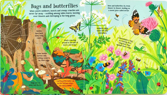 Usborne Look inside Nature (Flap Book)