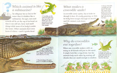 I Wonder Why Knowledge Set, Age 6+ (6 Books)