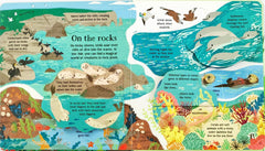 Usborne Look inside Nature (Flap Book)