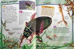 100 Facts Pocket Edition Set, Age 7+ (3 Books)