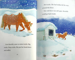 Bramble and Maggie Early Reader Set, Age 6+ (4 Books)