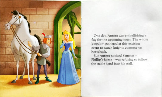 Disney Princess An Amazing Team (Pocket Friendly Book)