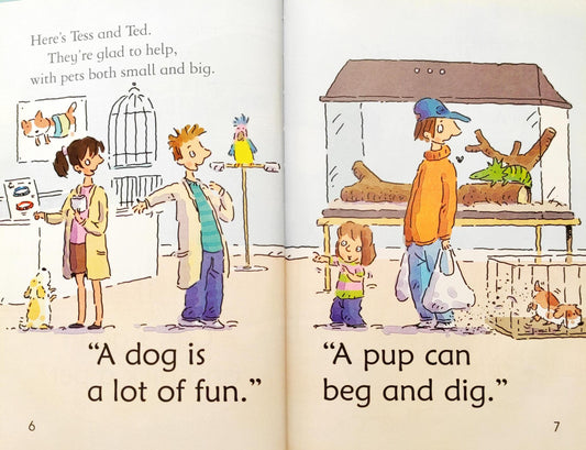 Usborne The Perfect Pet (Very First Reading)